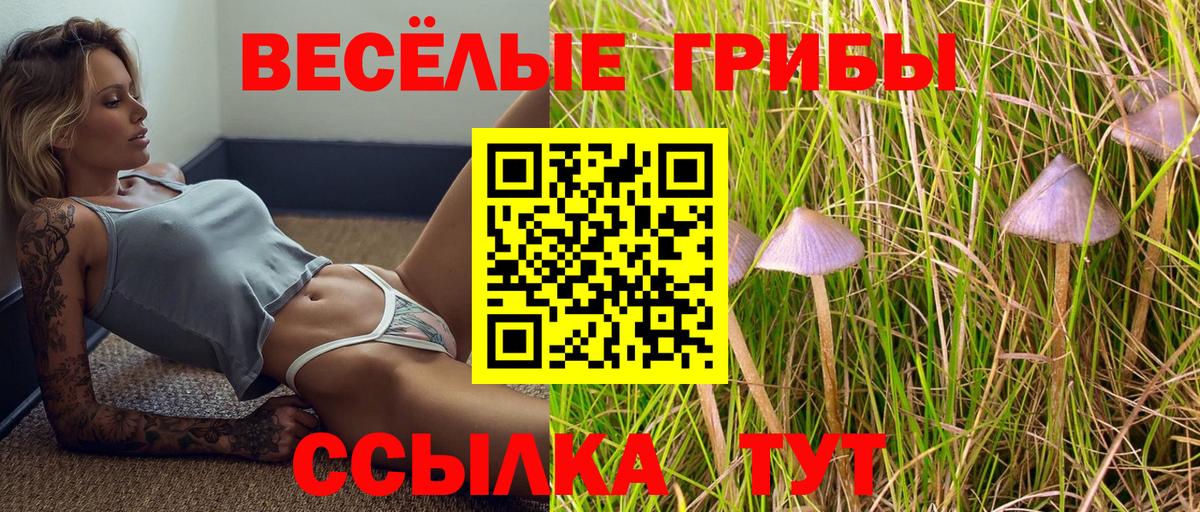 Алатырь  где купить наркотик  Галлюциногенные грибы MAGIC MUSHROOMS  Вход с VPN  Псилоцибиновые грибы ЛСД 