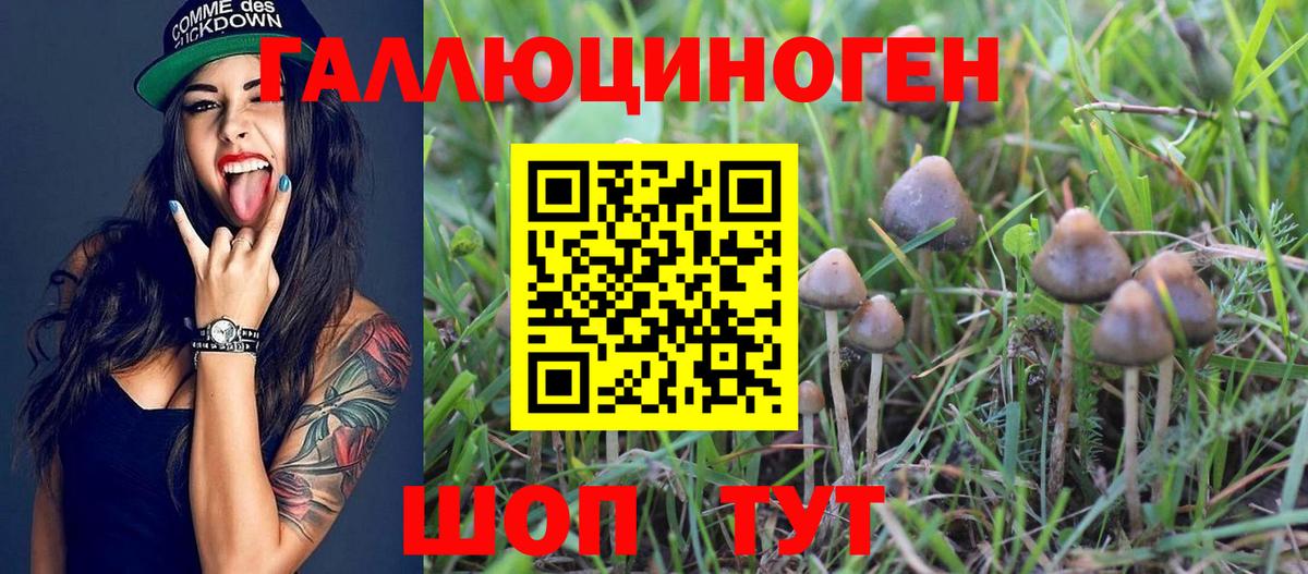 Галлюциногенные грибы Cubensis Алатырь
